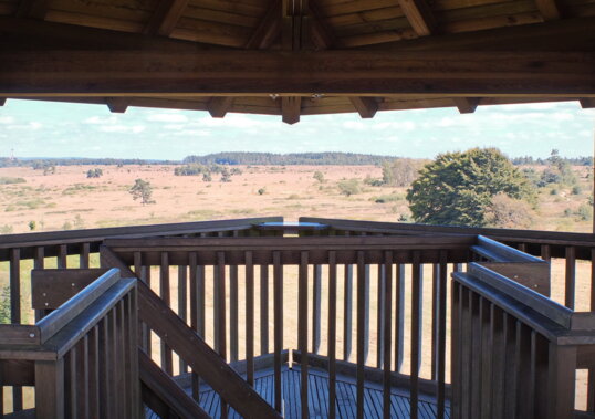 Domaine de Bérinzenne