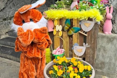 Vivez une aventure magique aux Grottes de Remouchamps!