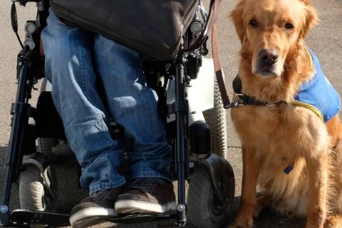 Tourisme - La Province de Liège se préoccupe de l’accessibilité