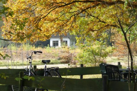 Het Lorkenbos - Last Minute naar de Veluwe