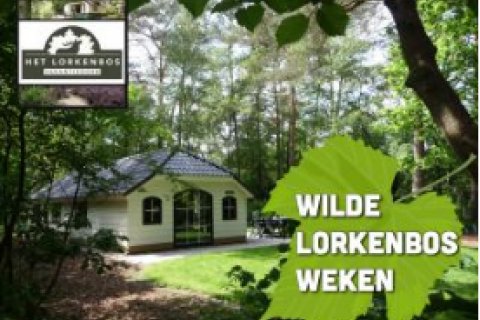 Wilde Lorkenbos Weken