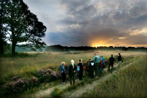 De Hoge Veluwe - agenda