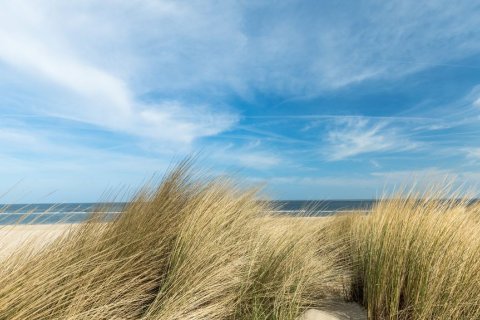 Badhotel Renesse- Nazomeren In Zeeland