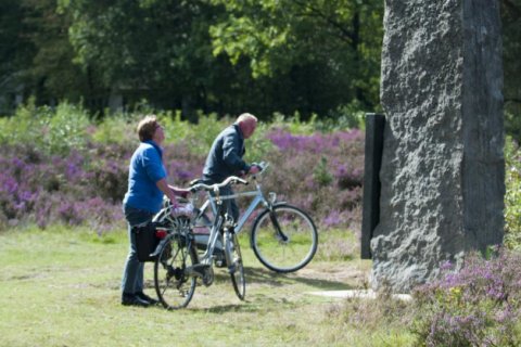 Vakantieoord Het Lorkenbos