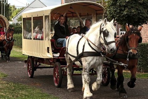 3ème et dernière édition des balades en calèche tirée par des chevaux de trait - Office du Tourisme du Pays d'Aubel.