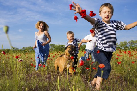 Visit Wallonia - Faites le plein d'idées.